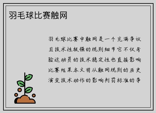 羽毛球比赛触网
