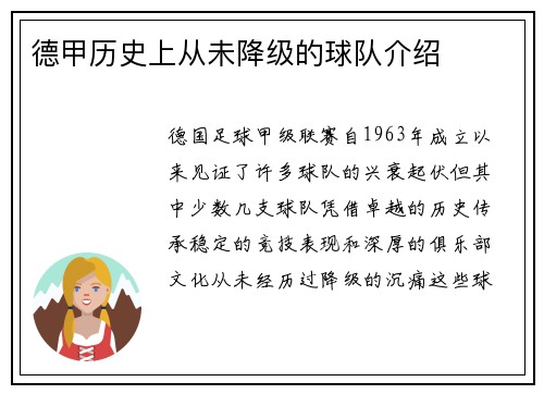 德甲历史上从未降级的球队介绍
